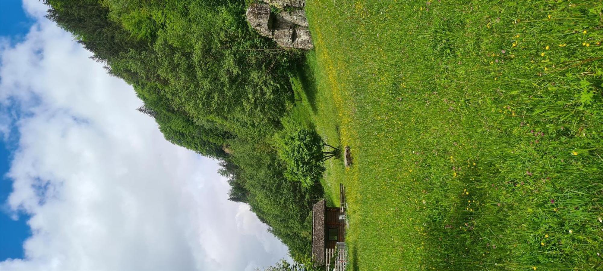 Haus Stehbock Villa Partenen Dış mekan fotoğraf