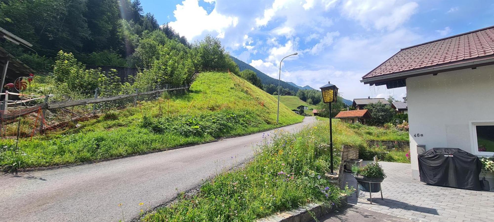 Haus Stehbock Villa Partenen Dış mekan fotoğraf